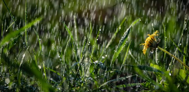 ETUDE: Different Point Of View